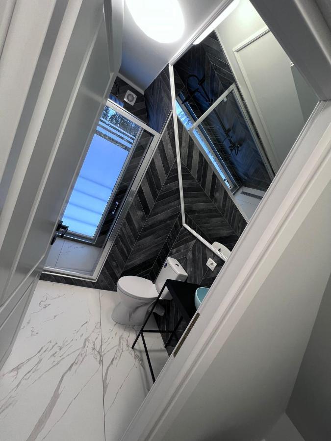 Doinita House Villa Borşa Buitenkant foto