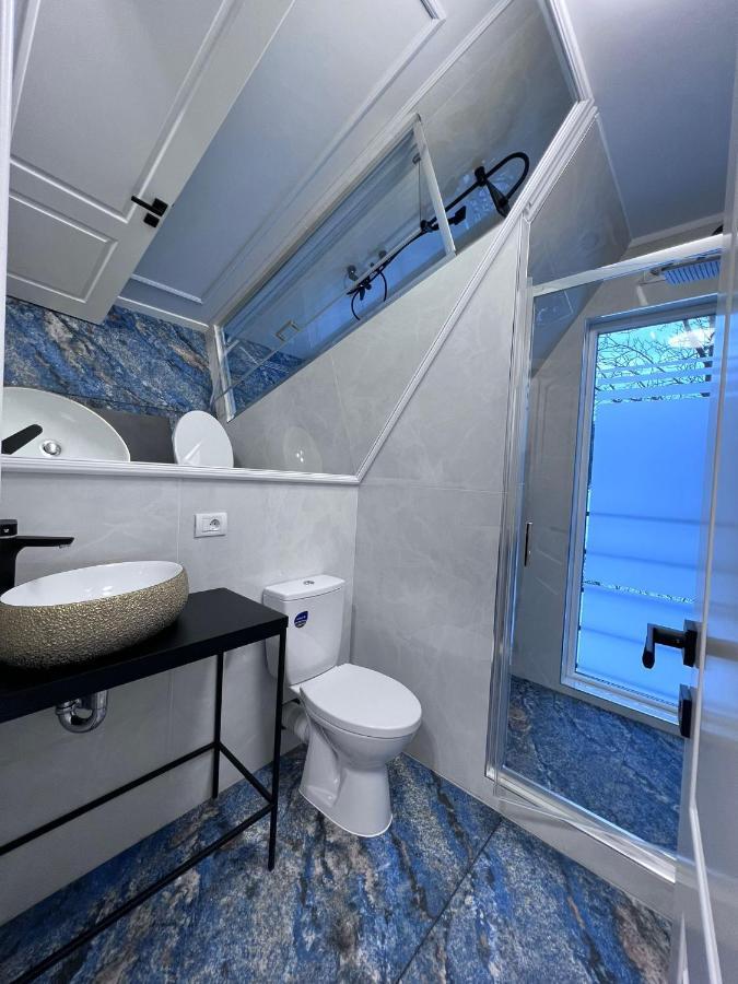 Doinita House Villa Borşa Buitenkant foto
